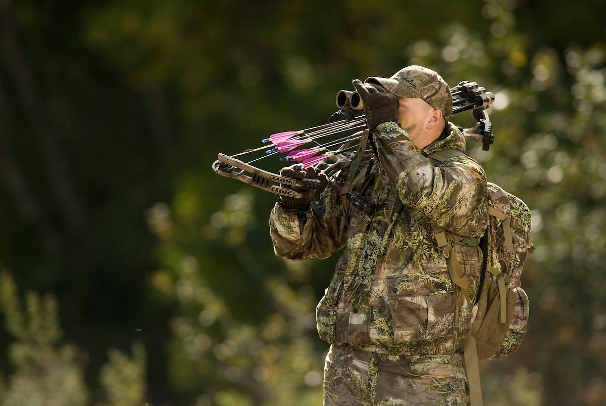 Bowhunters in Spring: What Should You Be Doing Right Now?