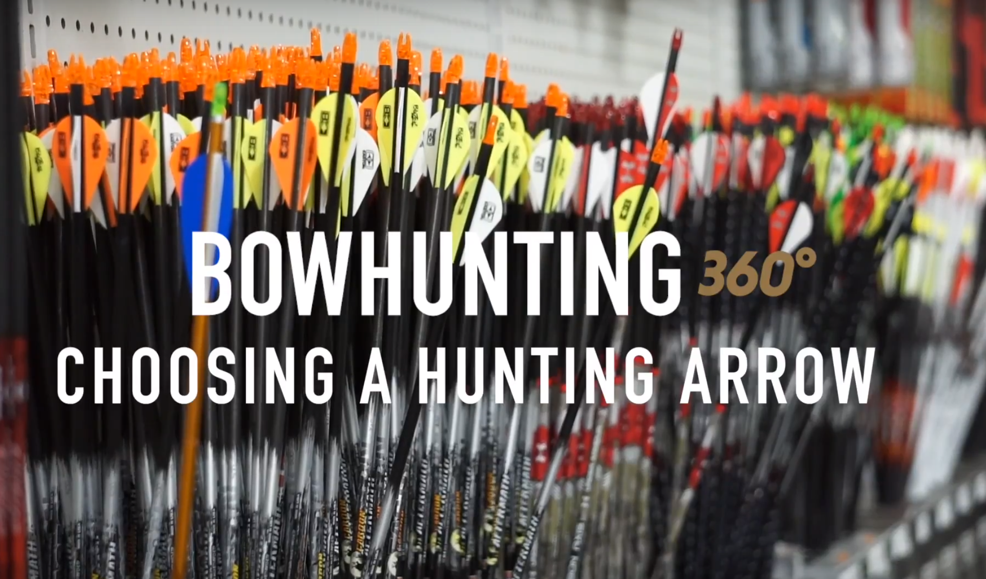 How to Choose a Hunting Arrow!