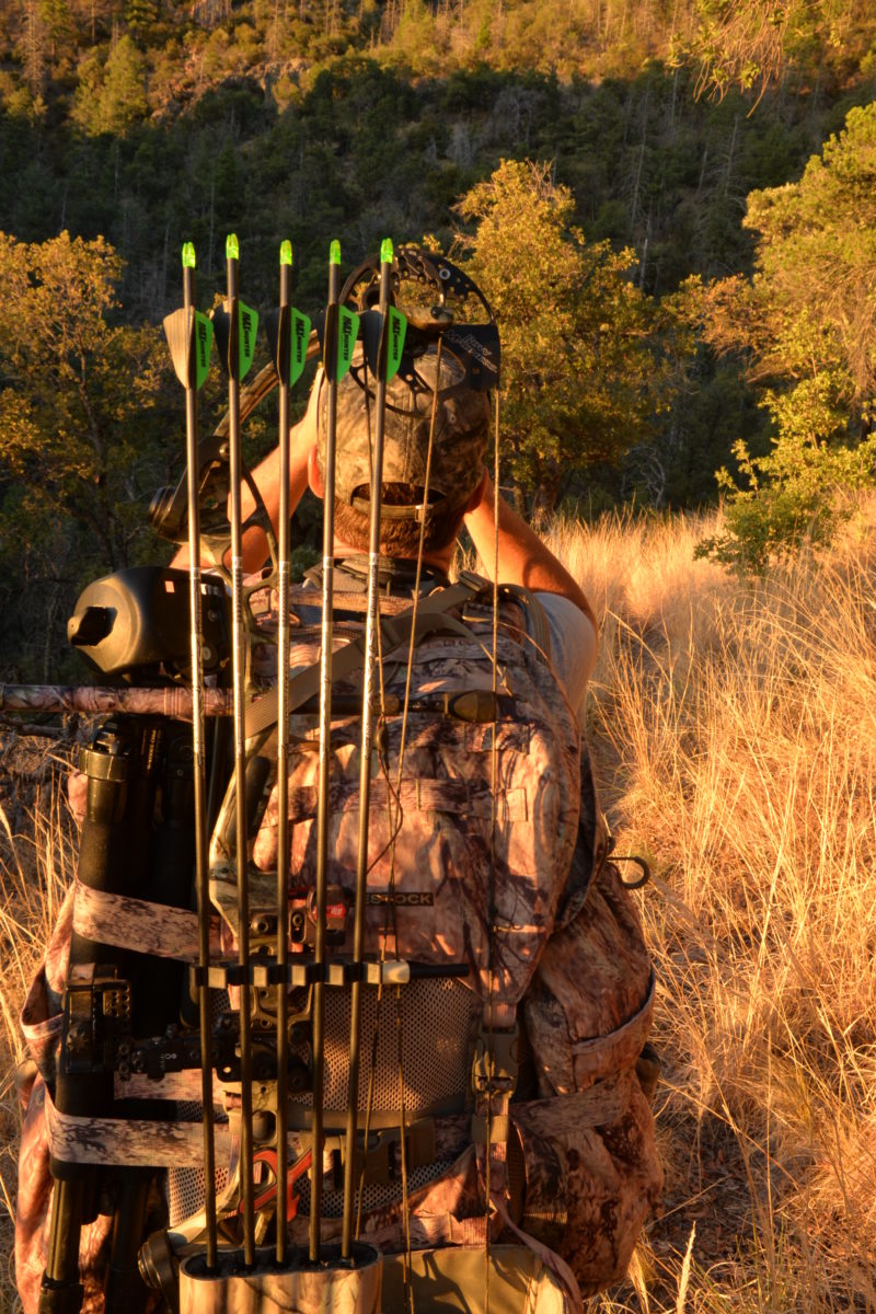 Gear Up for Bowhunting