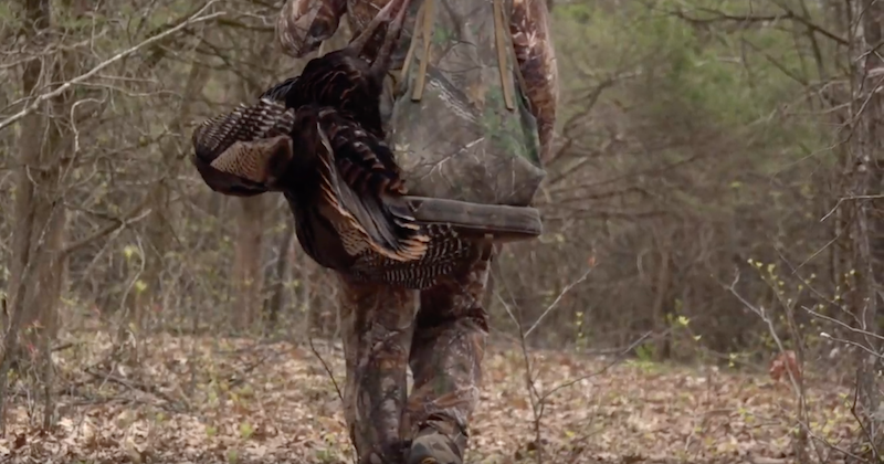 Want to Try Turkey Hunting? You’ll Need These Tips!