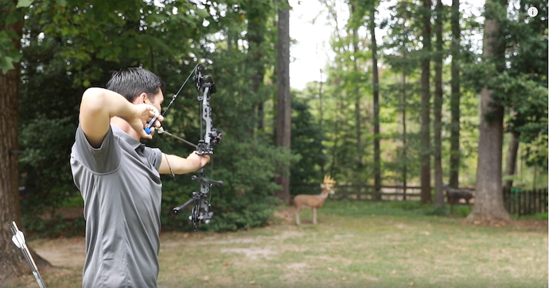 Five Archery Tips for Bowhunters