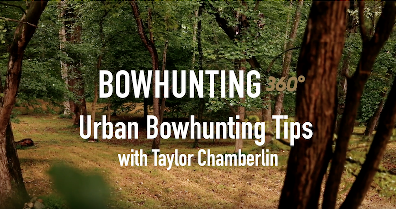 Urban Bowhunting Series, Part 1: Selecting a Property and Asking Permission