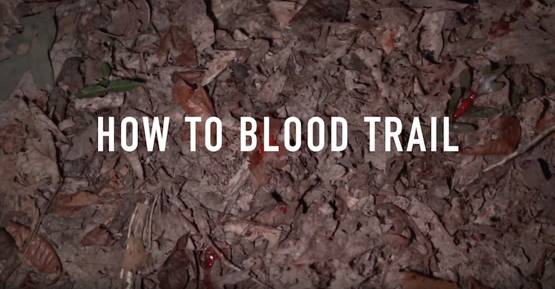 10 Blood-Trailing Tips