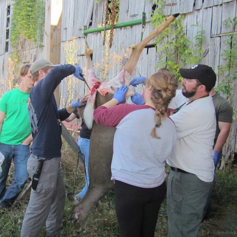 Tips for Processing Your Deer Bowhunters United