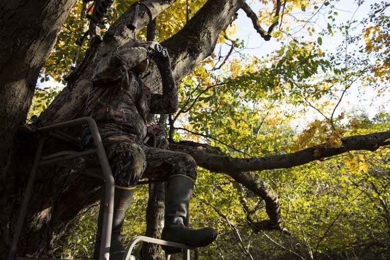 Bowhunting During GunSeason Offers Great Benefits Bowhunters United