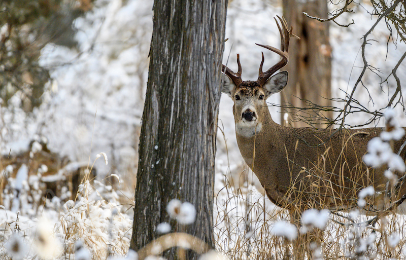 Evaluate Your Bowhunting Season Before You Forget