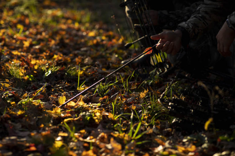 How to Field Dress a Deer Bowhunters United