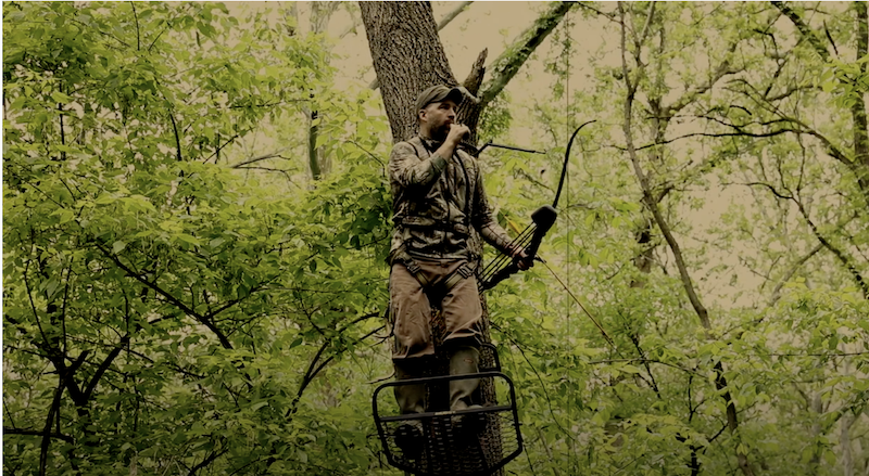 Five Archery Tips for Bowhunters