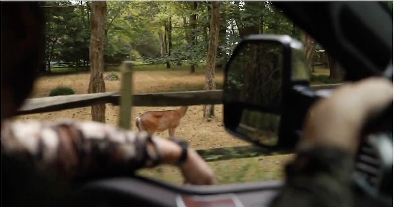 Urban Bowhunting: What If Your Deer Leaves the Property?