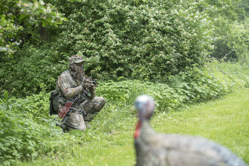 Gear You Need To Bowhunt Turkeys