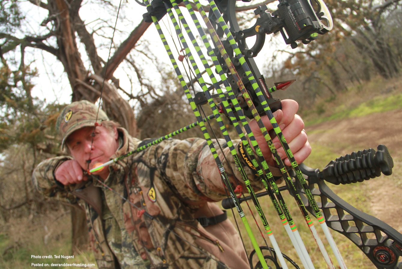 Ted Nugent’s Advice for First-Time Bowhunters