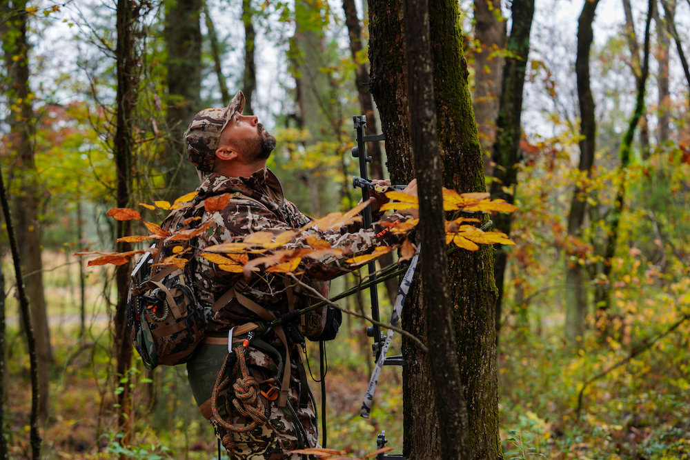 What New Bowhunters Can Expect Their First Time Afield