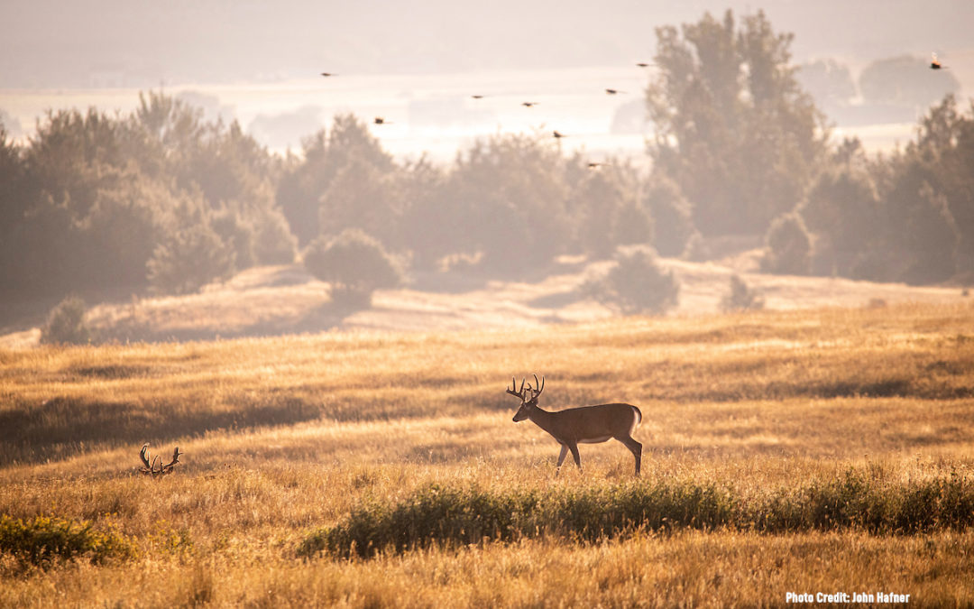 Share the Right Story to Inspire and Recruit New Bowhunters