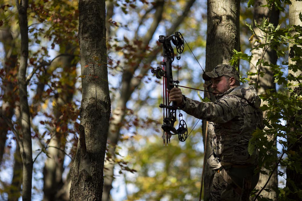 Accuracy Matters: Shooting Tips for Bowhunters