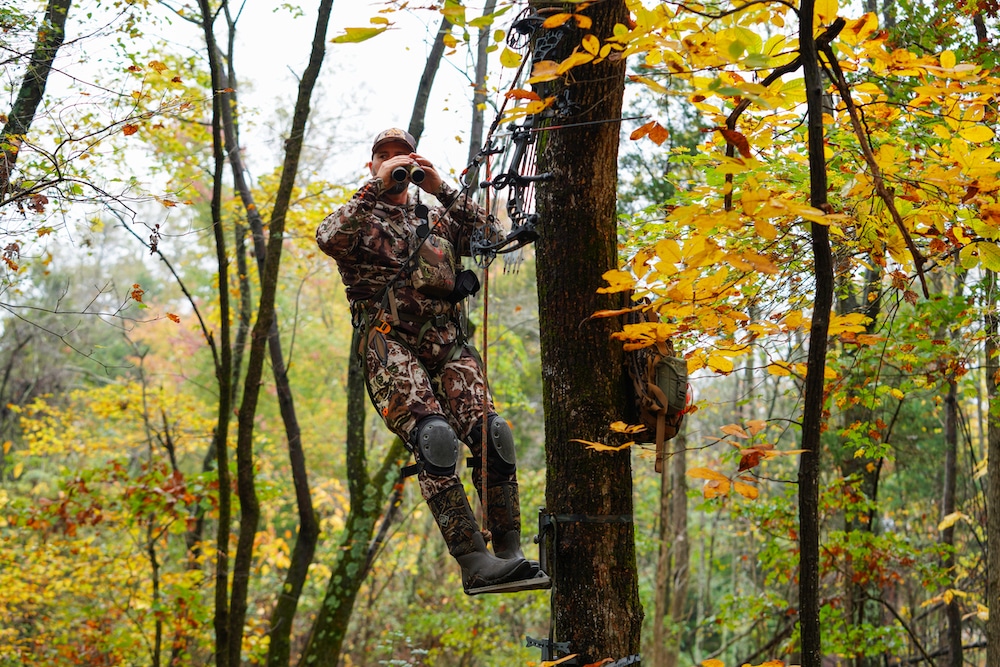 How to Be a Safe Bowhunter