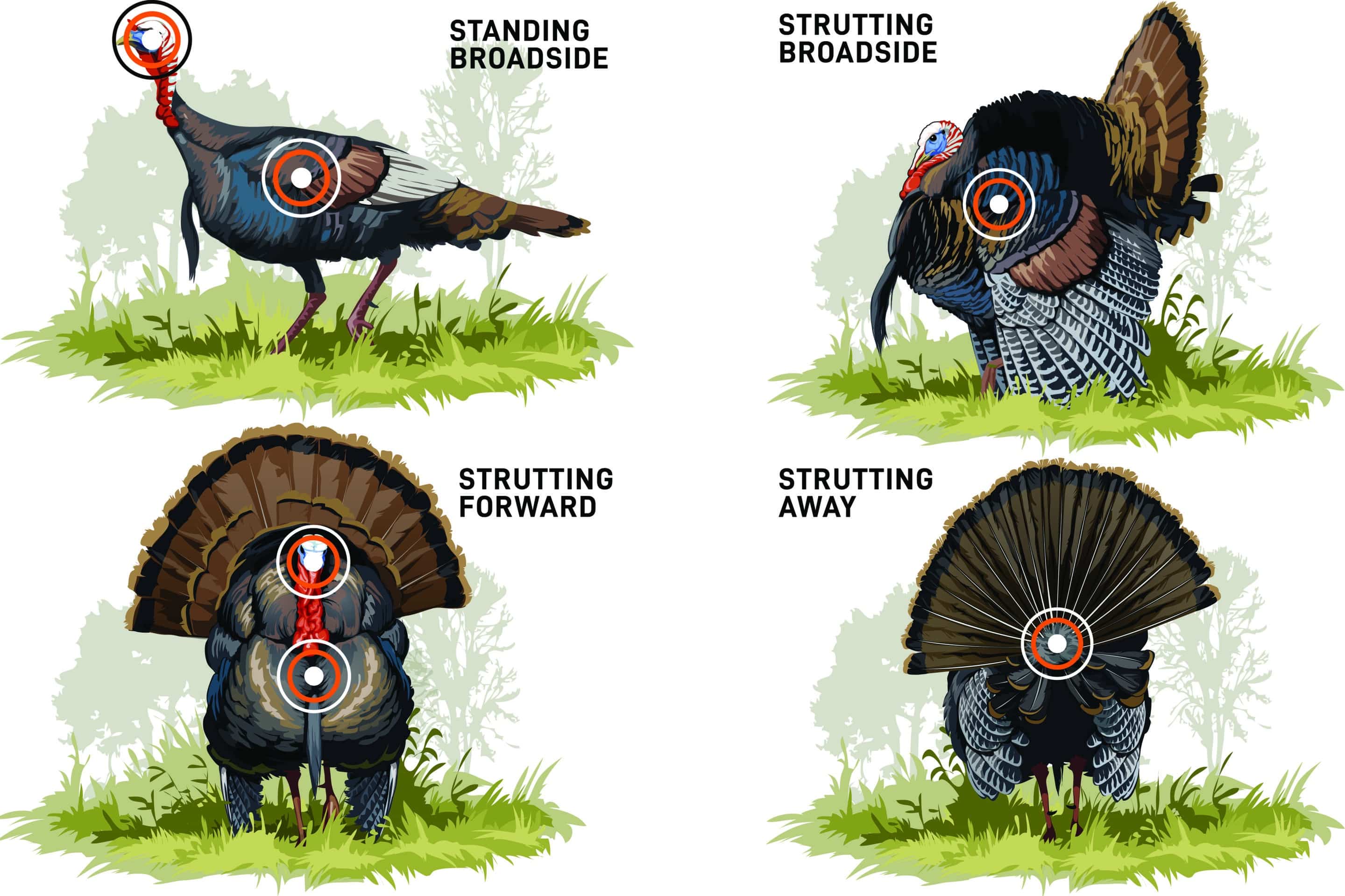 What Do I Need For Turkey Hunting The Essential Gear Guide 